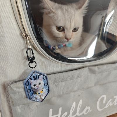 Adorable Acrylic Charms
